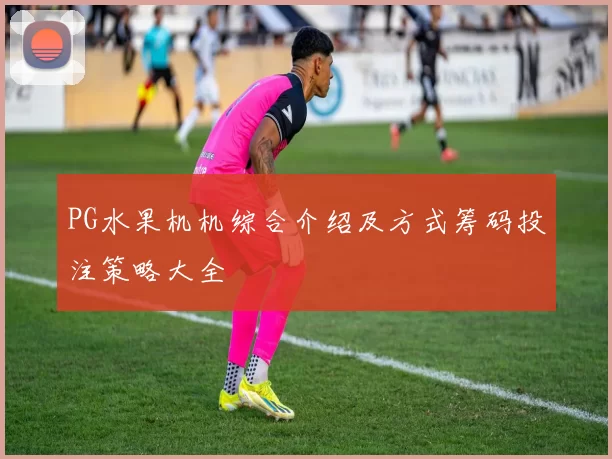 PG水果机机综合介绍及方式筹码投注策略大全