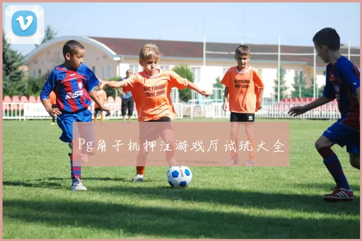 Pg角子机押注游戏厅试玩大全